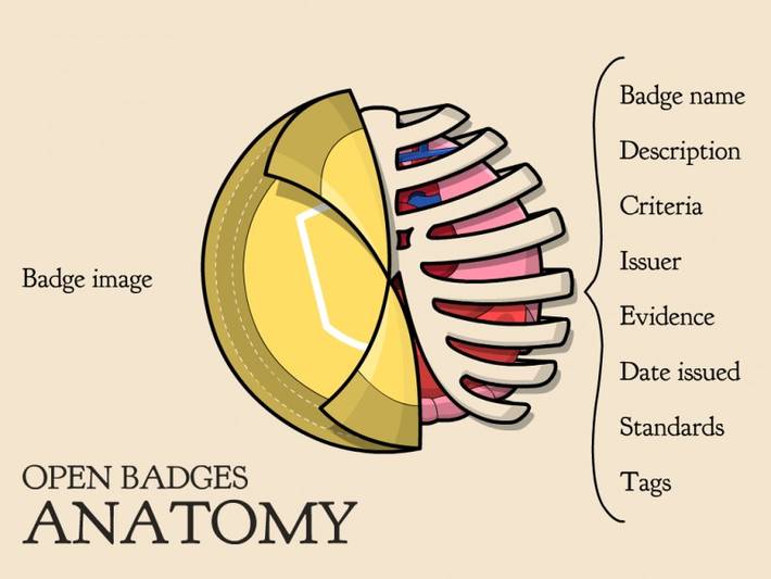 http://classhack.com/post/45364649211/open-badge-anatomy-updated http://classhack.com/post/45364649211/open-badge-anatomy-updated