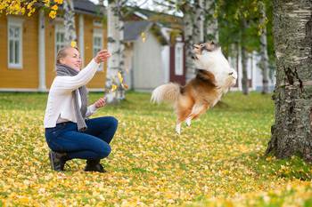 Nainen ja koira ulkoilevat syyspäivänä, maassa ja ilmassa on puusta pudonneita keltaisia lehtiä. 